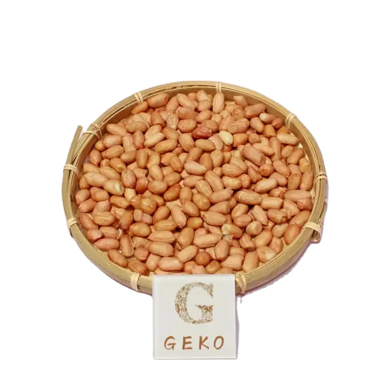 GEKO Food лидер продаж новые продукты Арахис для питания смешанные орехи