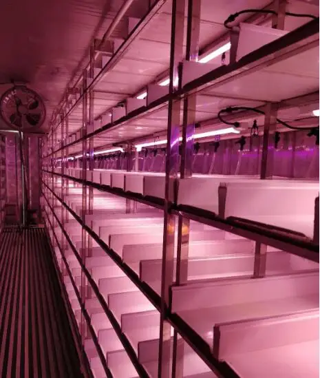 NFT PVC Hydroponics Barley Sprout System for Cow Horse Sheep