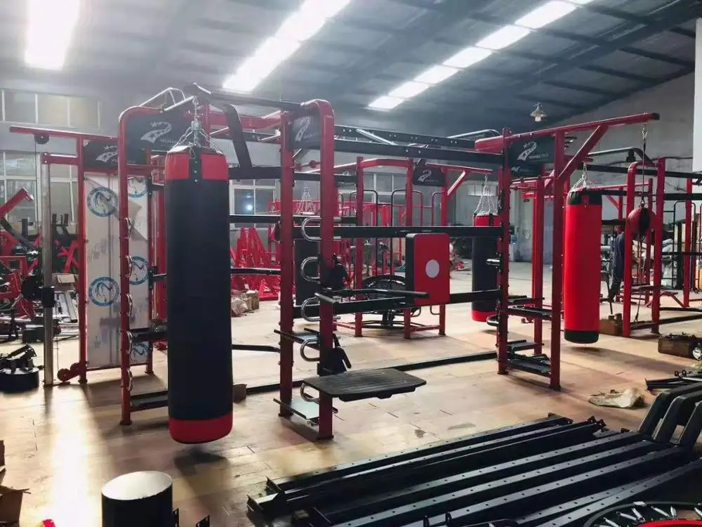 Dezhou Strongway Synergy 360mini X Fitness Equipment , Gym Equipment