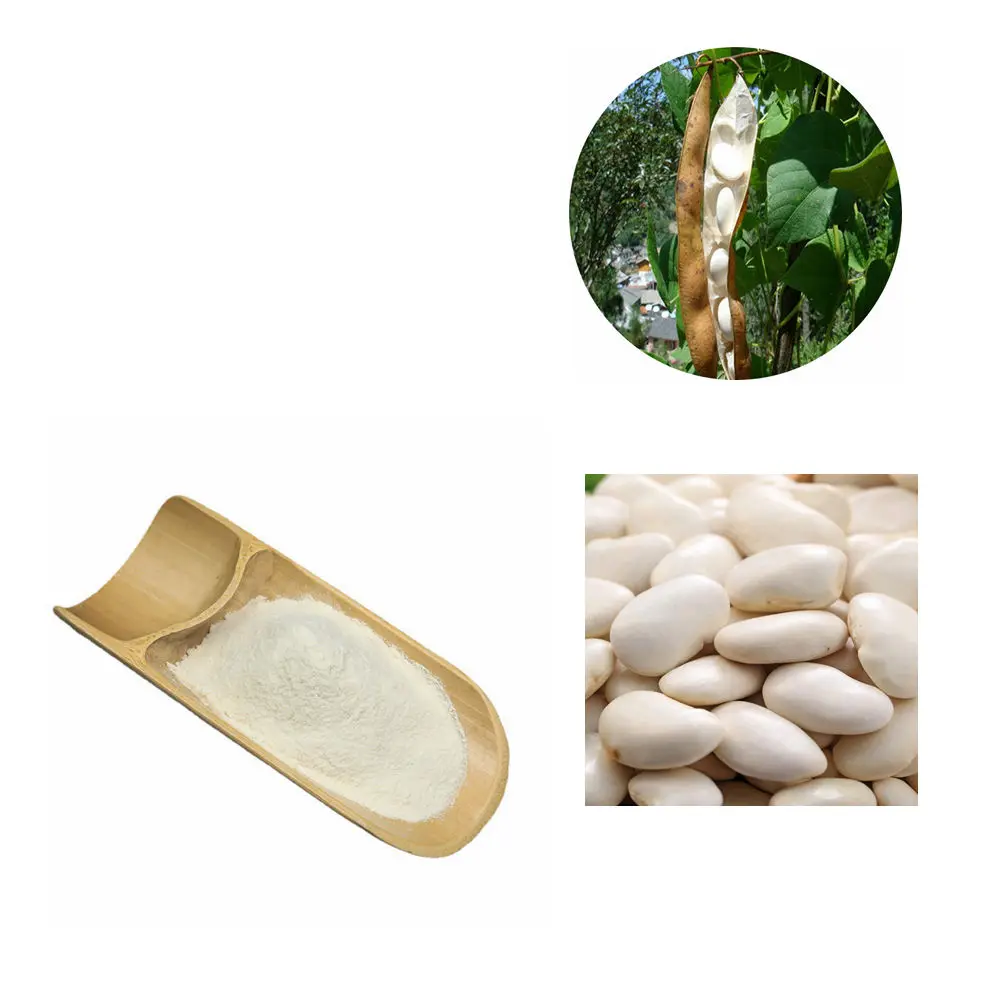 Herbal Plant white kidney bean extract , 1% 2% Phaseolin by HPLC