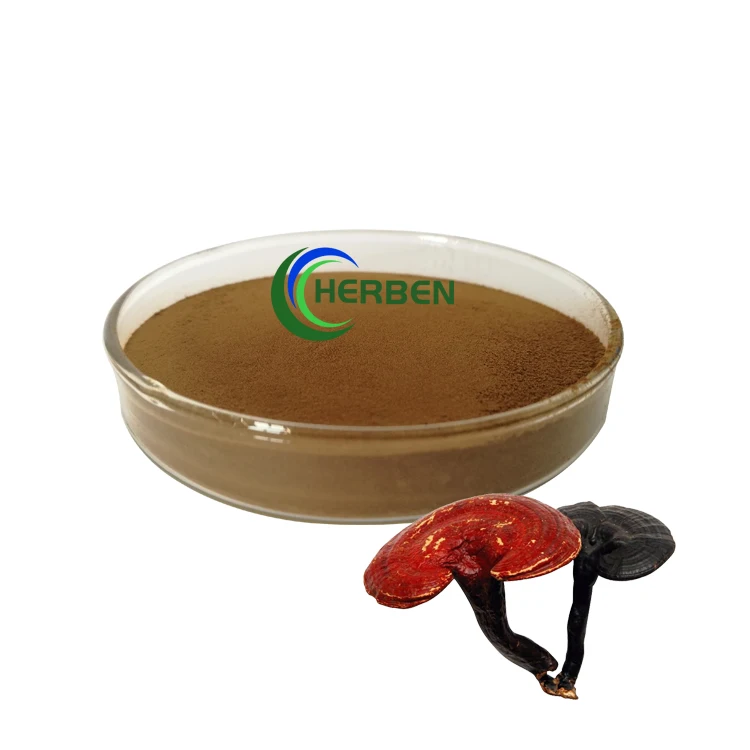Органический экстракт Lingzhi Ganoderma порошок экстракта