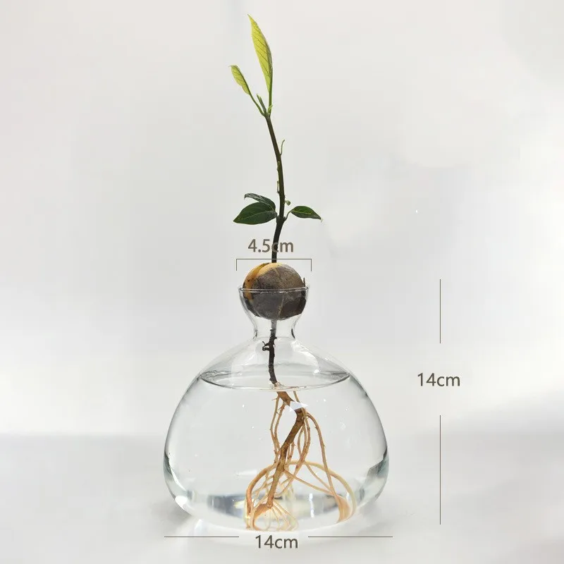 Wholesale Modern Hydroponic Decorative Mini Glass vase Mluti Size Tabletop Glass Flower Vases