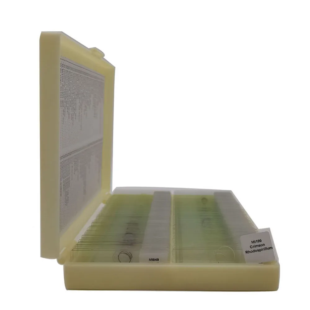 Школьные принадлежности, медицинский микробиологический микроскоп, стеклянные слайды высокого качества, набор из 100 шт.