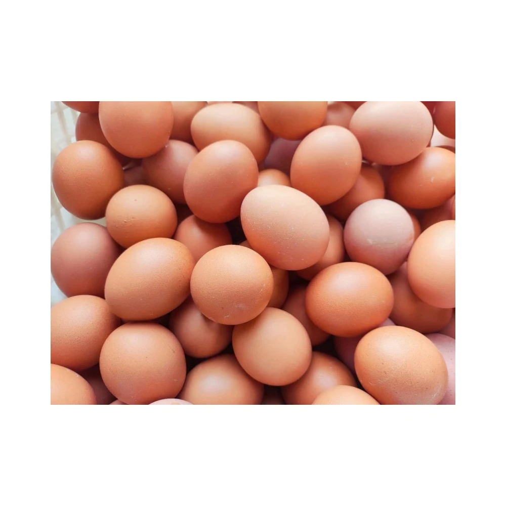 3% Compound Premium Layer Feed - Wholesale Poultry Feed for Chickens and Ducks