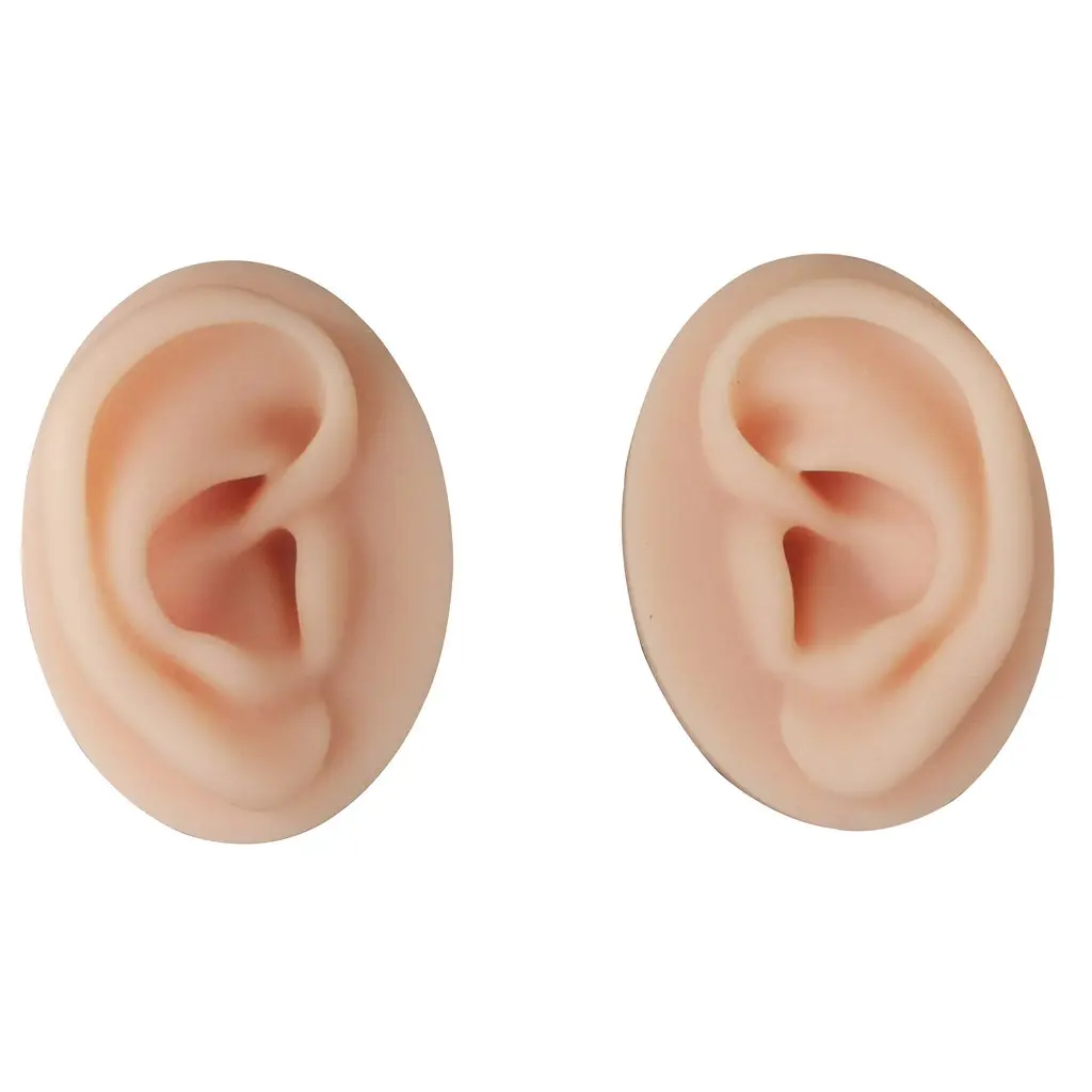 Multi-Function Medical silicone  ear  model acupuncture teaching medical model emulation model