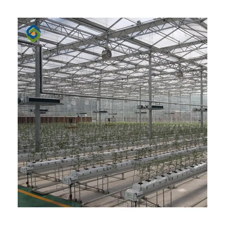 Agricultural in-solar single-span greenhouses with Hydroponics Growing Systems