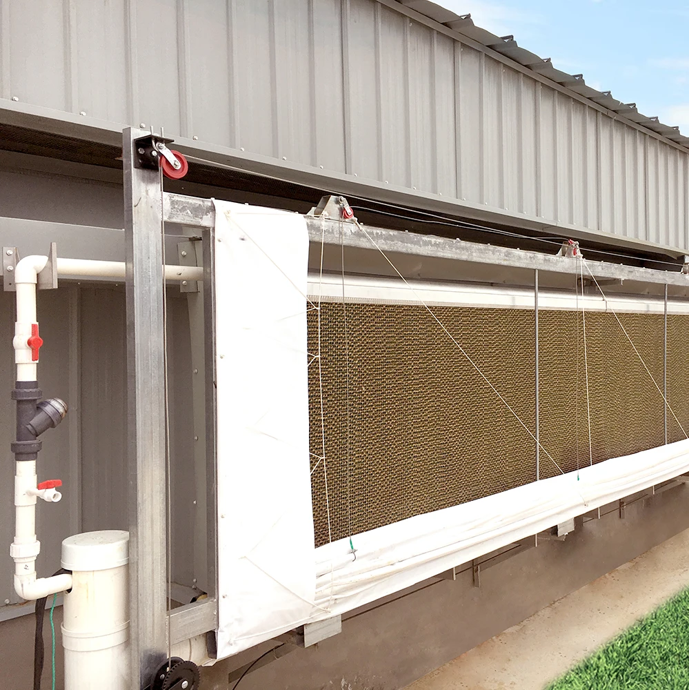 Ventilation cooling system in pig farm yard