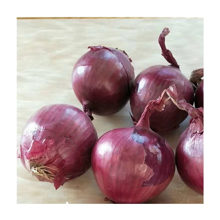 Export Fruits And Vegetables High Quality Healthy Premium Quality Red Onion Exporters In China