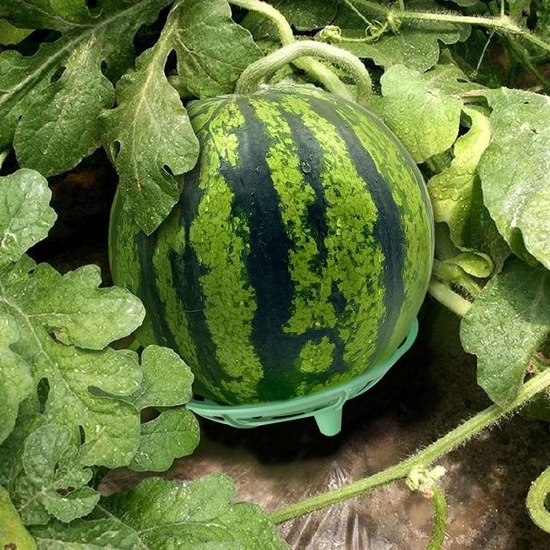 Melon Cradle For Garden Adjustable Strawberry Growing Racks Plant Climbing Rack Vine Pillar Garden Stand Balcony Vegetable Rack