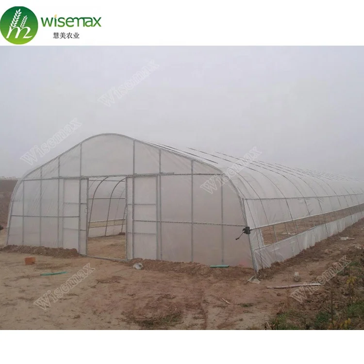 Tomato cucumbers used commercial plastic prefabricated greenhouse