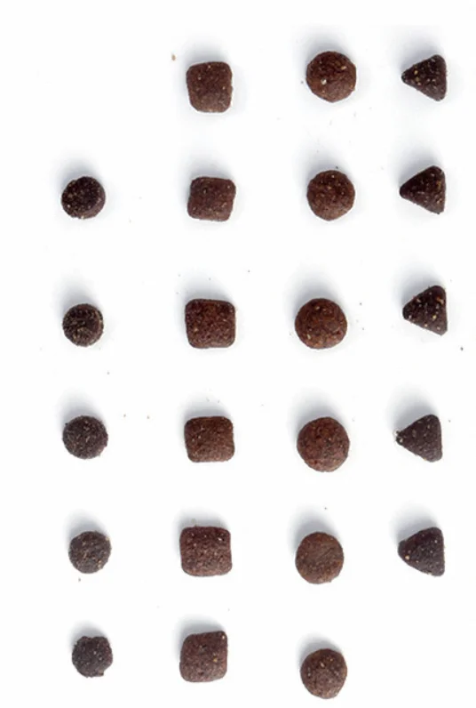 Freeze-dried dog food 26 protein probiotics freeze-dried staple food grain-free wholesale grain-free fresh meat dog food