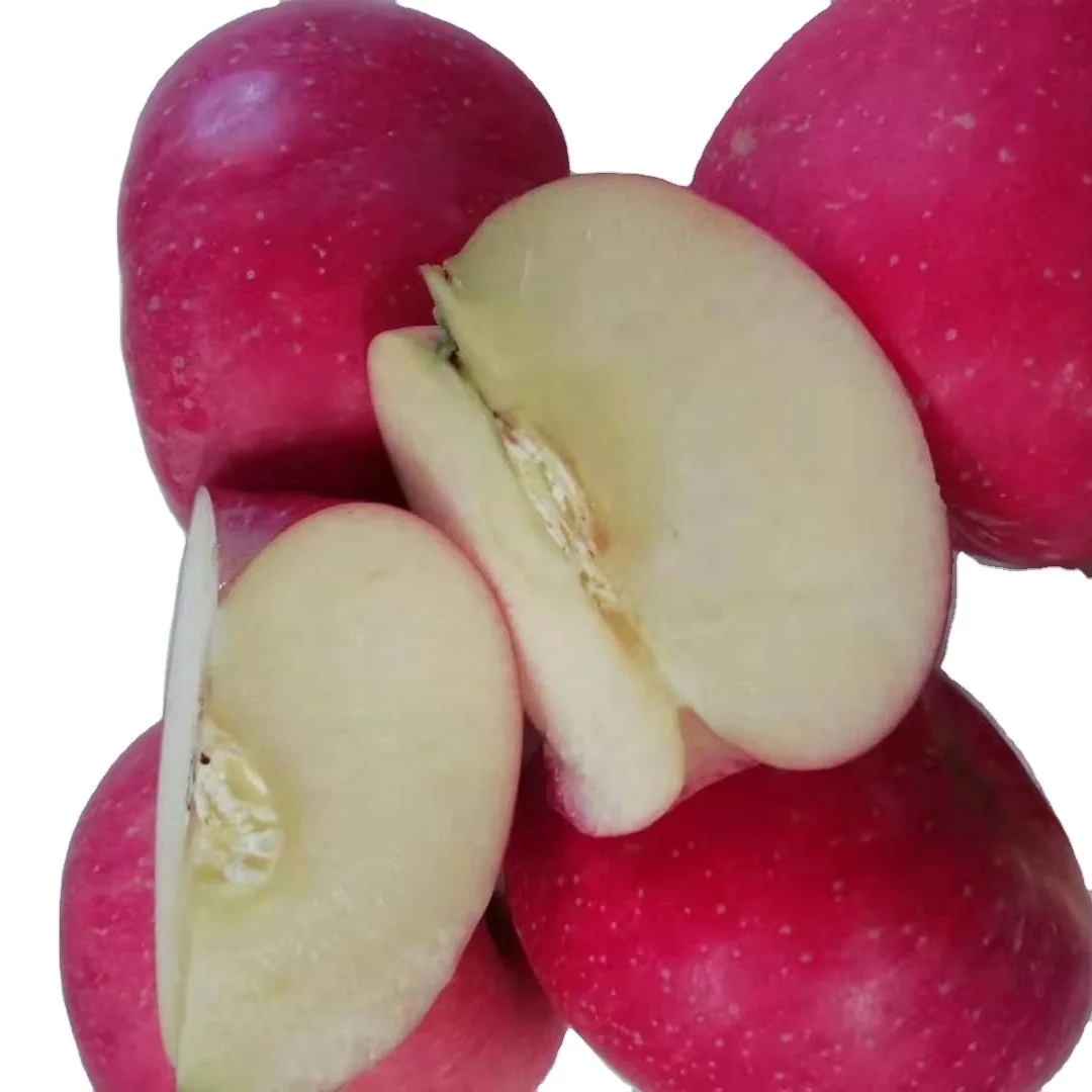 
Fuji apel exporter from china 