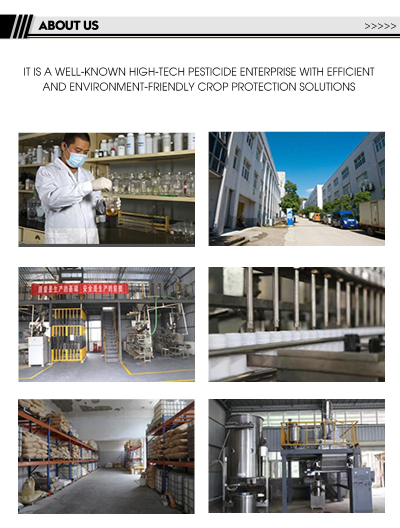 80% Pymetrozine WG agricultural pesticide Nitenpyram