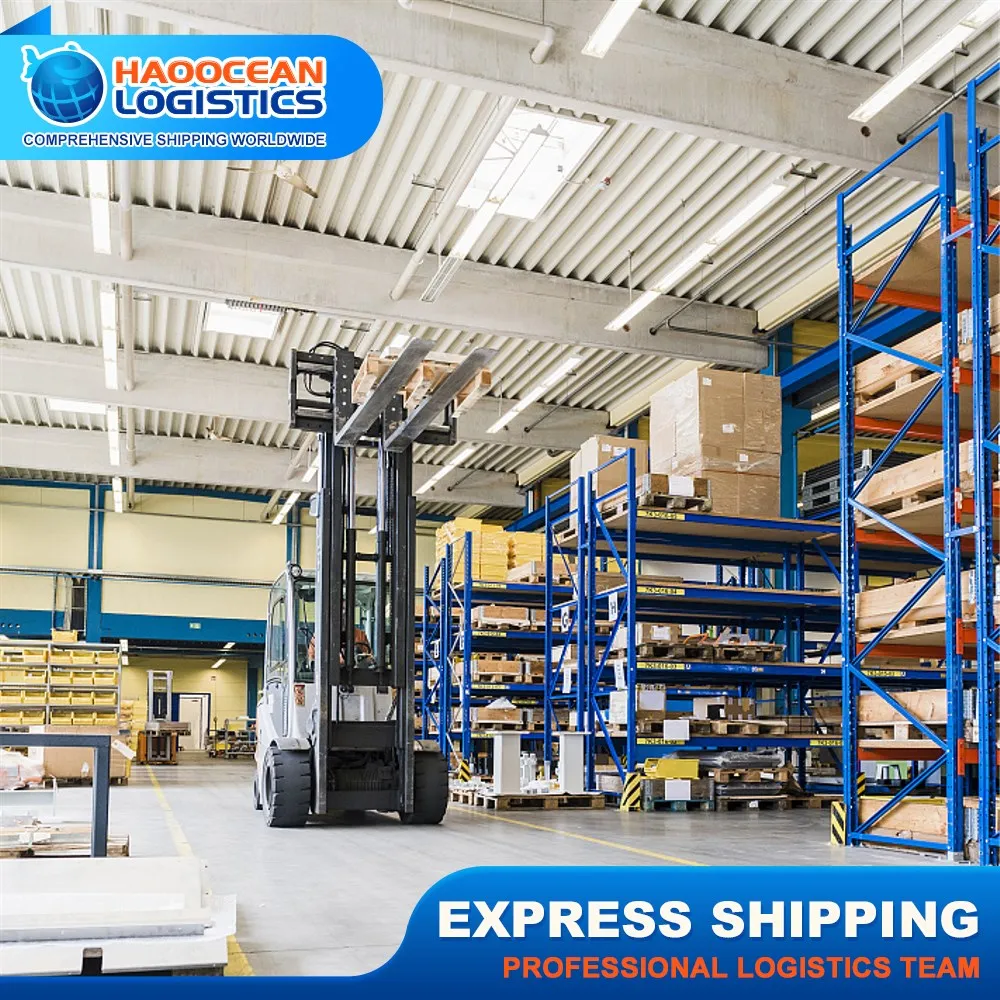 Experienced Shipping Freight Forwarder Ali FBA Logistics Agent Door to Door Service to French Guyana