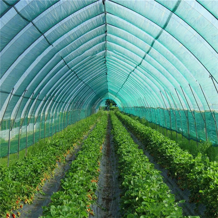 Wholesale Hot Sale Shade Net Netting with UV stabilizer for agriculture Green House