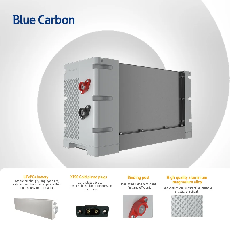 Blue Carbon 6000 Cycle Times Long Life 12v Lithium Battery 200Ah