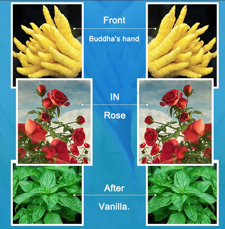 OEM ODM 30ml 50ml 100ml Luxury Body Spray Parfum Lasting Fragrance 24 Hours Women Perfume