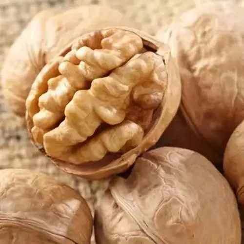 High Quality Thin Skin Raw Organic Grade A Walnut Kernels In Bulk