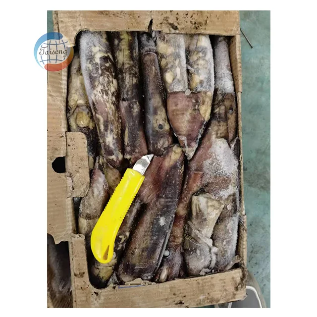Дешевые свежие морепродукты замороженный каламари индийский кальмар