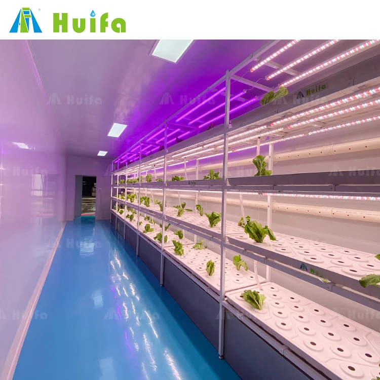 Smart Container Nft Hydroponic Farm Solution Grow House Vertical Farming System 40 Ft Mushroom Shipping Container Farm Rack