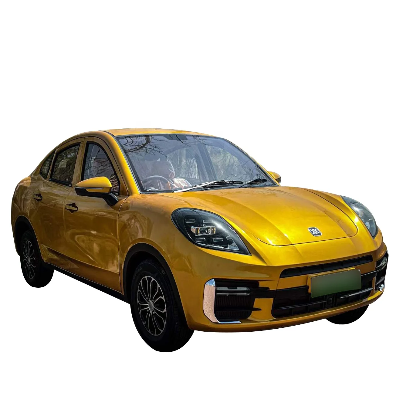Умный электрический автомобиль для взрослых полностью закрытый мини-автомобиль с 4 сиденьями 5000 Вт