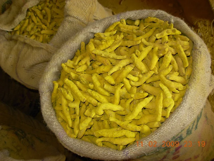 
Turmeric Fingers / Dry Turmeric / Turmeric Roots 