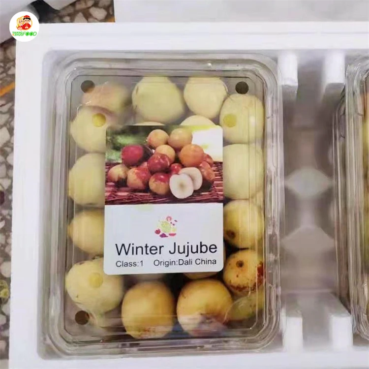 
Chinese popular fresh fruit winter jujube fresh high quality winter jujube with qualiyt pure 