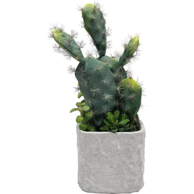 
38CM Succulent cactus Interior decoration 