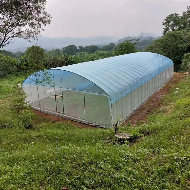 Portable Modular polycarbonate Winter Garden Gazebo Prefab Greenhouse Insulated Walk In Cheap