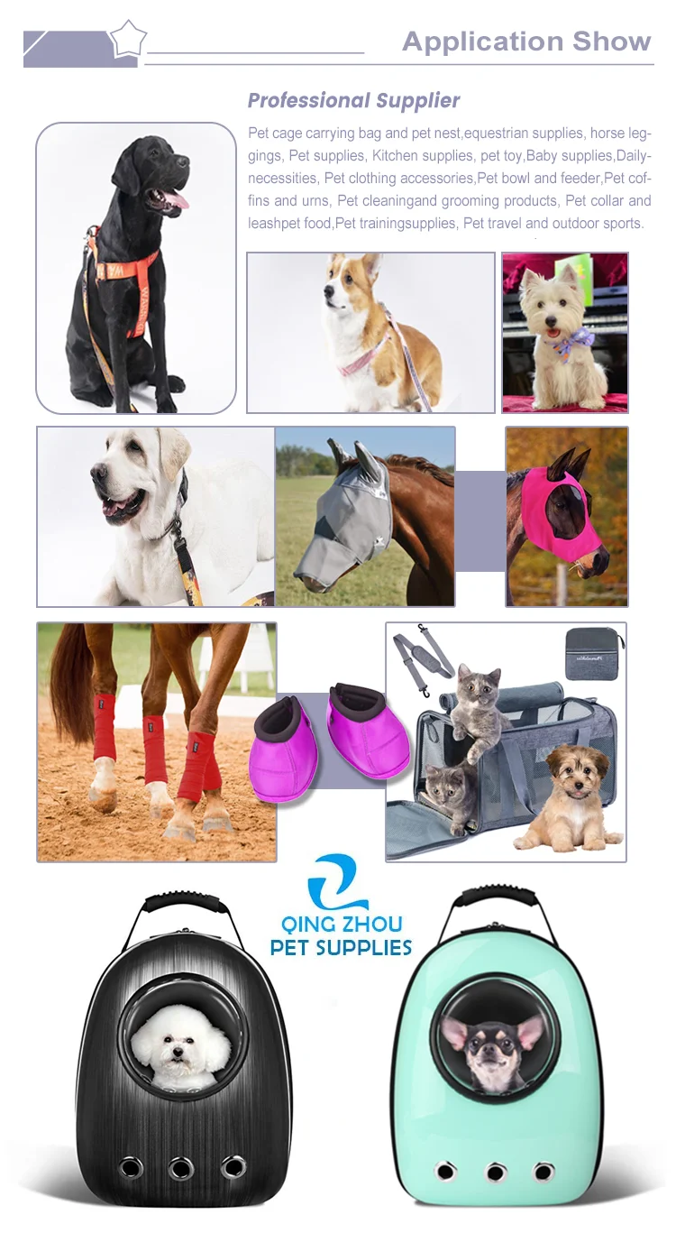 Application Show.png