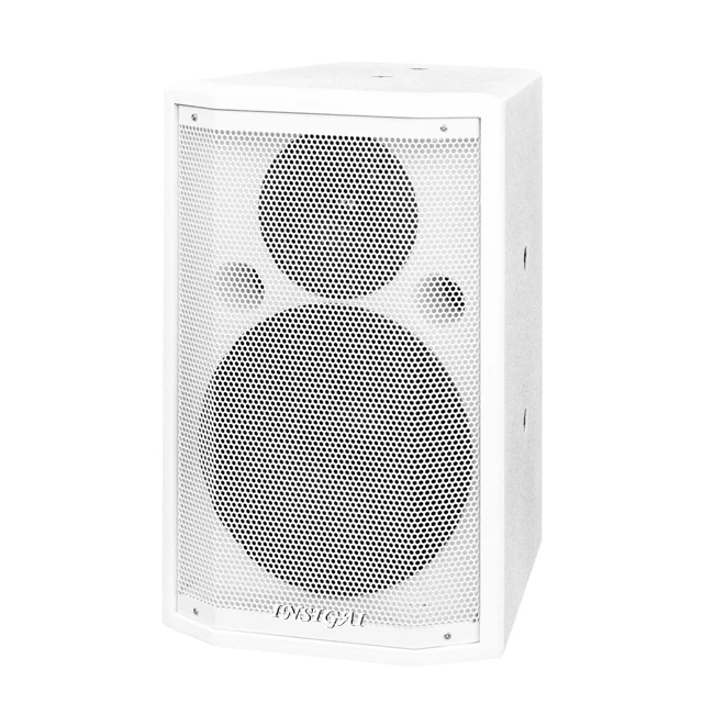 DH06 6.5 inch Passive Woofer Speakers Meeting Room Professional Audio Sound Equipment