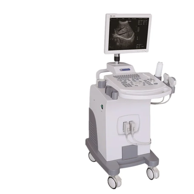  Ультразвуковая цифровая ультразвуковая машина DW-350 trolley B & W