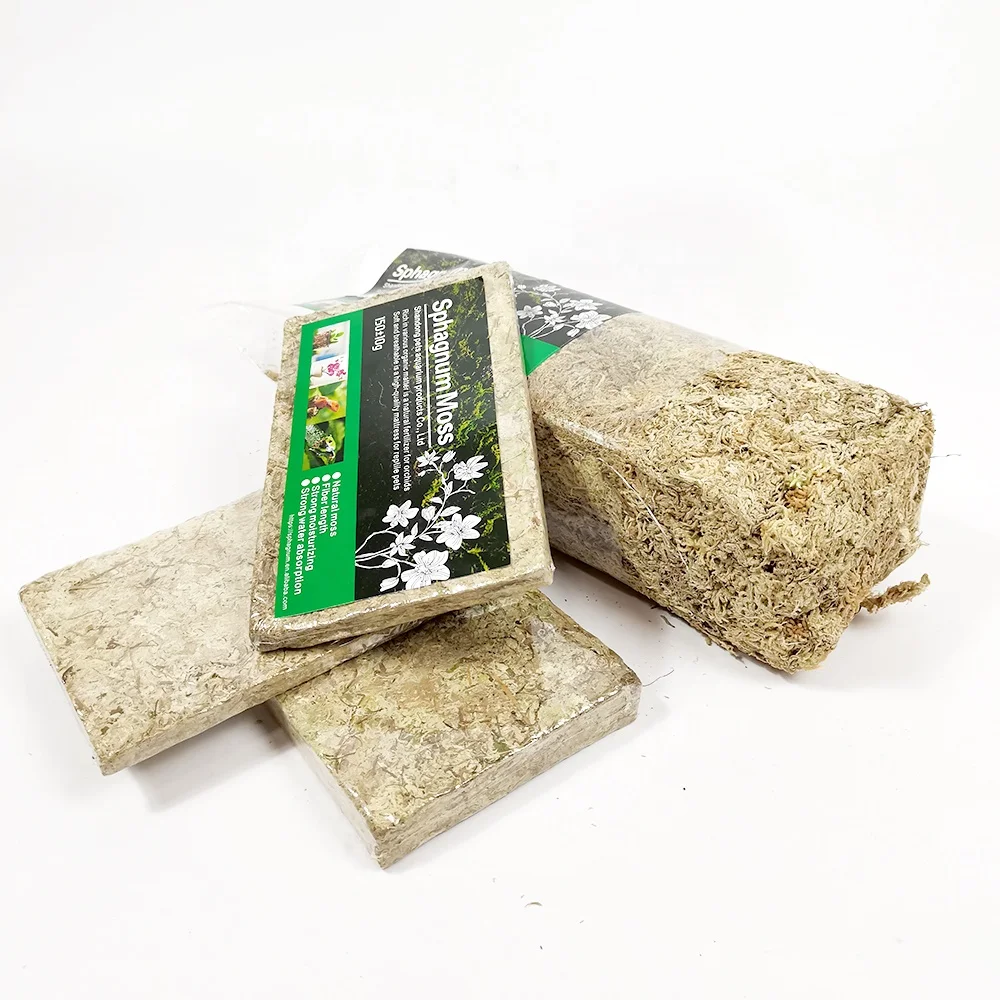 High Quality AAAAAA Sphagnum Moss For Orchids Plantas Naturales And Reptile Subtrat 500G/Bag Long Fiber Sphagnum Moss For Sale
