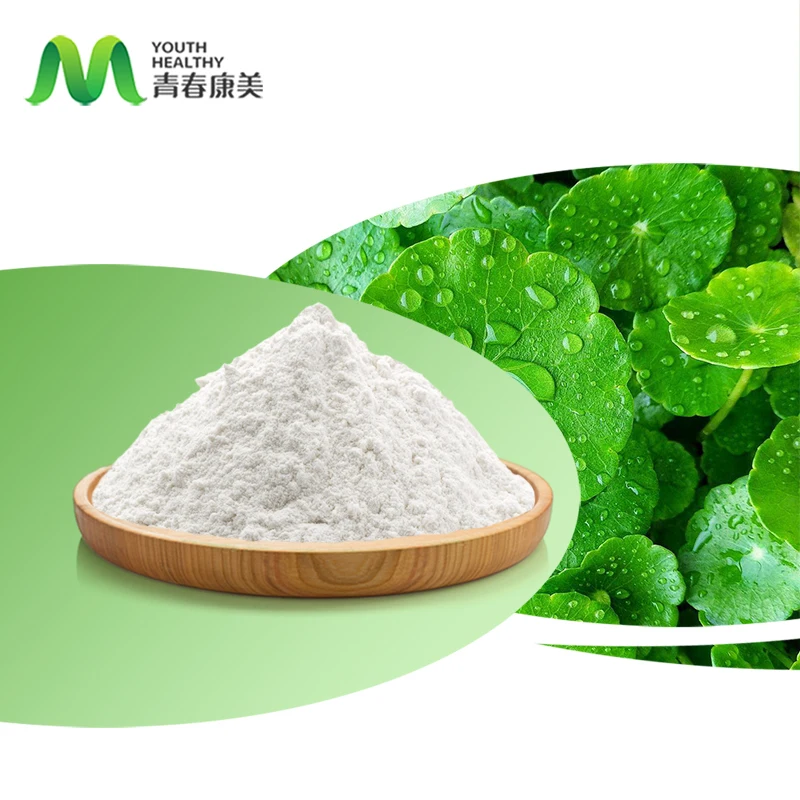 Centella Asiatica Extract Rejuvenating Gotu Kola Extract Powder