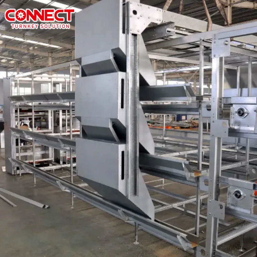 70000 Chicken HDG Quality Material Large Poultry Processing Equipment Layer Chicken Cages With Feeding Management