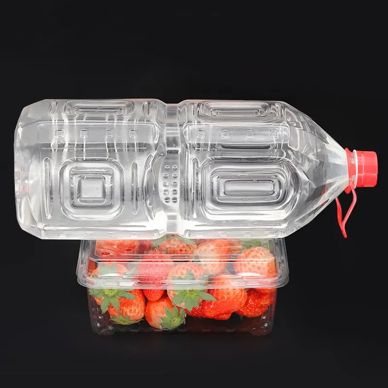 With Lid Disposable plastic bowl Box clear salad Trays Disposable Clear Plastic Clamshell Food Container