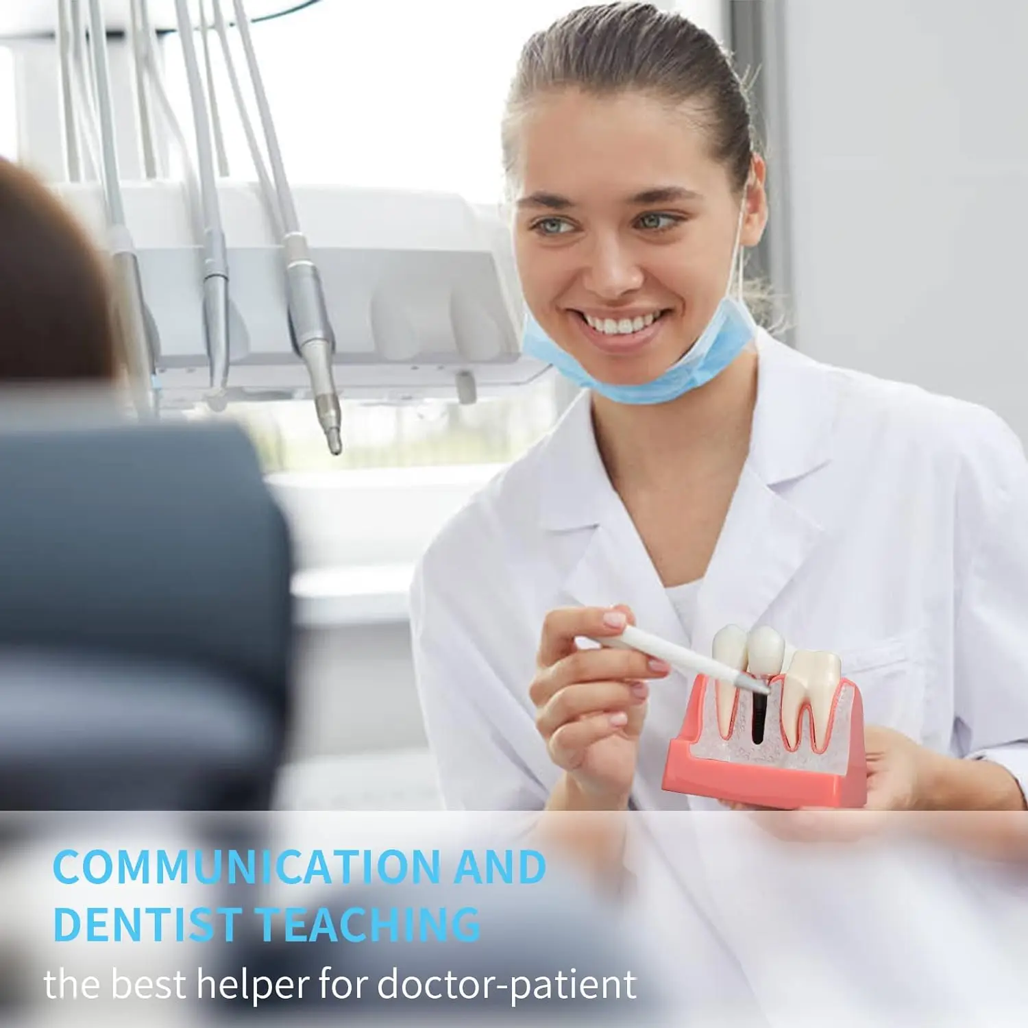 Dental Implant Model with Removable Analysis Crown Bridge Demonstration Teeth 4 Times for Medical Science Education Studying