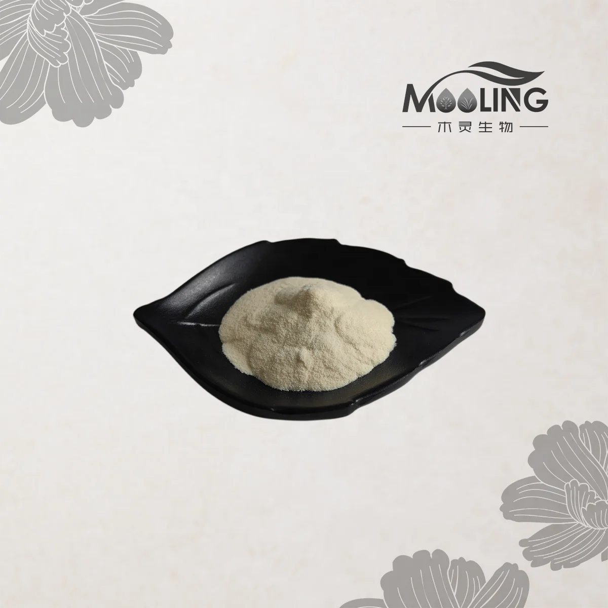 High Quality Corn Oligopeptides Corn Zein Peptide Powder