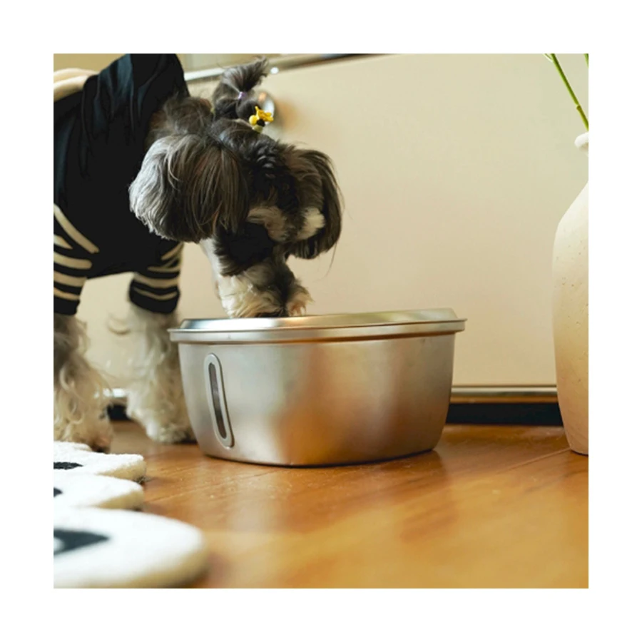 Wholesale 3.2L 304 Stainless Steel Cat Pet Mute Drinker Feeder Bowl Automatic Pet Water Fountain