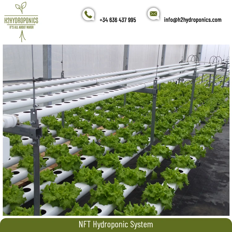 Top Listed Exporter of Optimum Quality Fertilizer Saver NFT Hydroponic System at Affordable Price