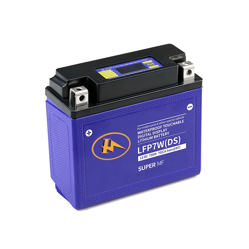 OEM/ODM Customizable Deep Cycle  Featherweight Ideal Replacement Backup Lithium Battery