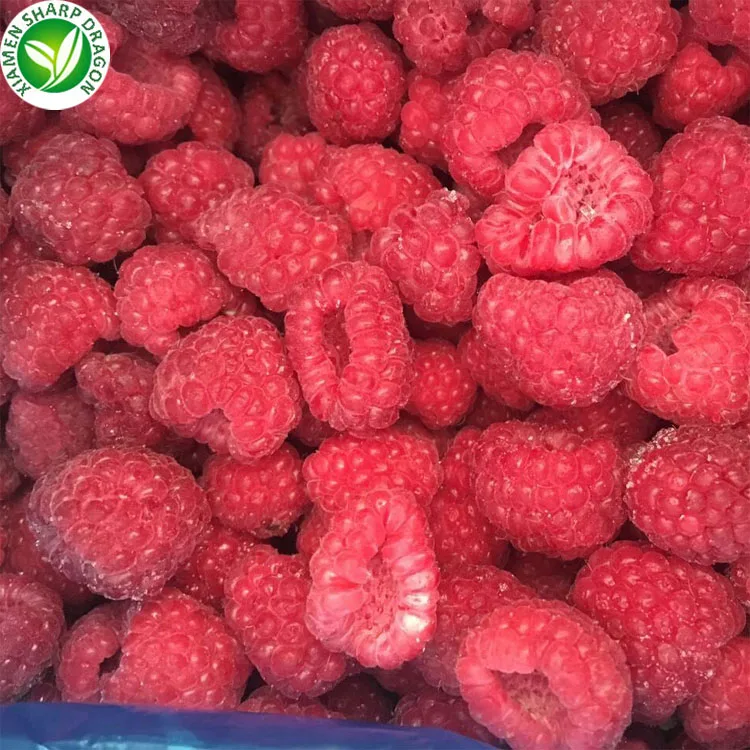 IQF Bulk price red  fruit frozen raspberries in syrup