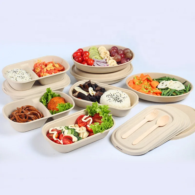 sugarcane pulp paper small microvable 3 compartment disposable hot food storage prep containers microwave  210 ml