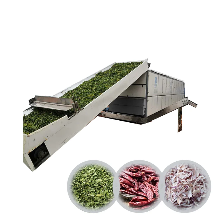 Widely Used Heat Pump Dehydrator/ Dryer/Red Chilli Drying Machine