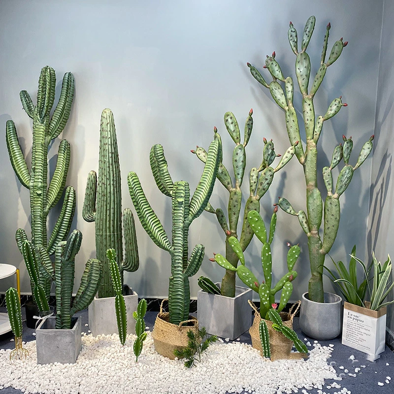 X69 Simulated Cactus Desert Green Plant Set Scene Model Room Shopping Mall Window Soft Decoration Centerpiece Flower