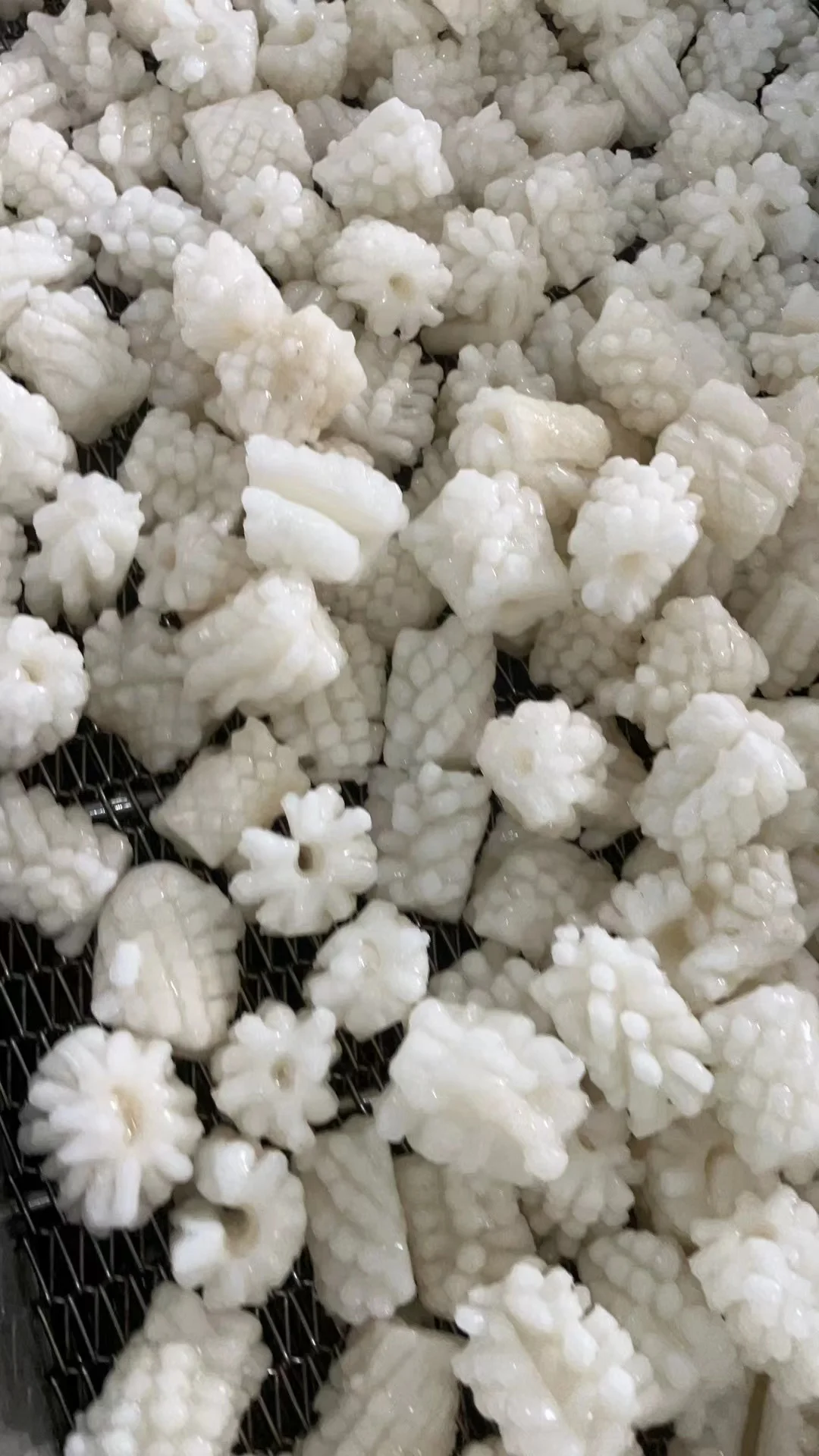 Guaranteed Quality Proper Price Dosidicus Gigas Frozen Giant Peru Squid Flower