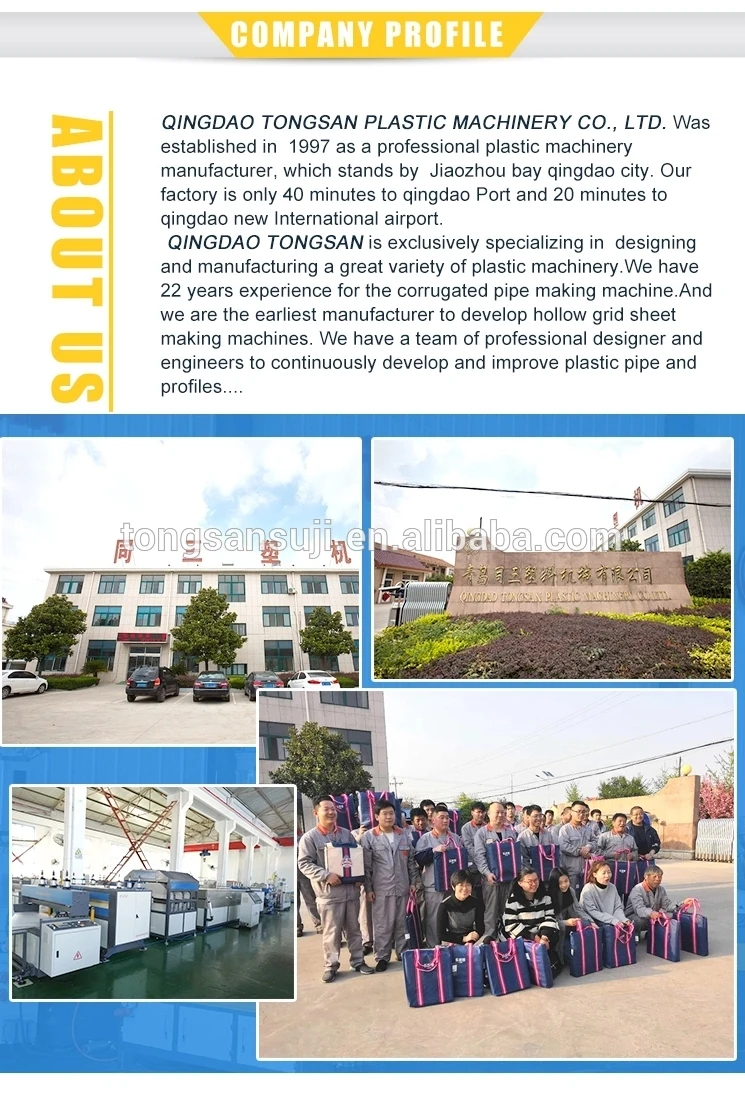 company profile.webp