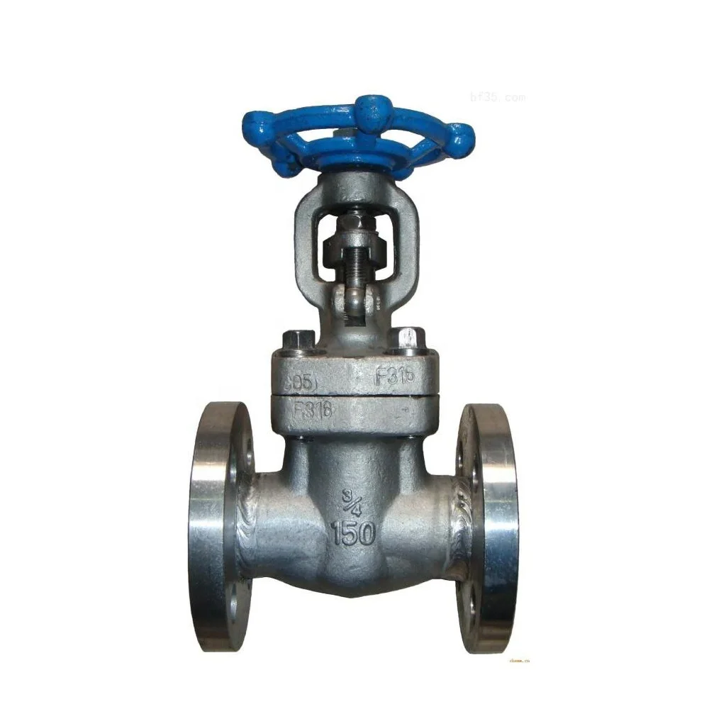 API602 high pressure forged steel F316 NACE MR0175  standard 600LBS 2inch  flange swing check valve