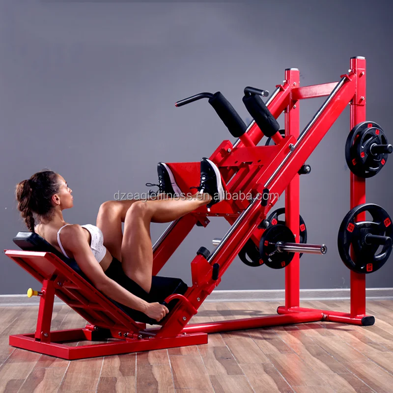 leg press hack squat
