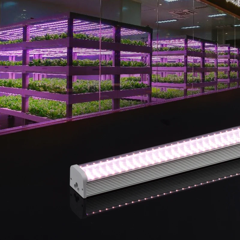 Wholesale high lumen full spectrum Led planting lights vegetables/cucumber/carrot/tomato